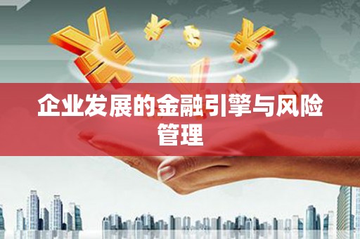 永新企业发展的金融引擎与风险管理