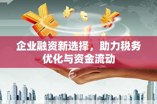 丰顺企业融资新选择，助力税务优化与资金流动