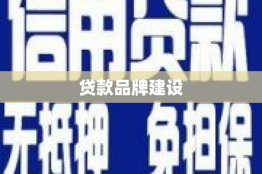 单县贷款品牌建设