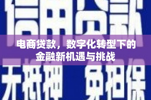 西丰电商贷款，数字化转型下的金融新机遇与挑战