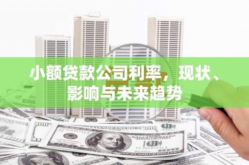 武鸣小额贷款公司利率，现状、影响与未来趋势