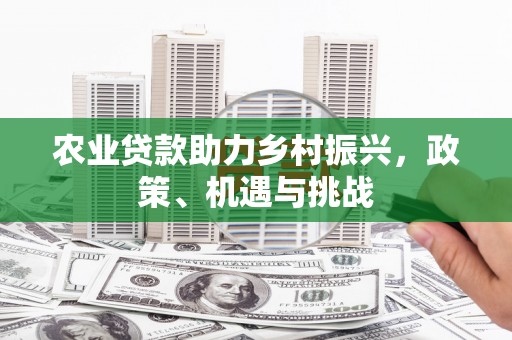 集贤农业贷款助力乡村振兴，政策、机遇与挑战