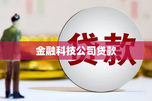施甸金融科技公司贷款