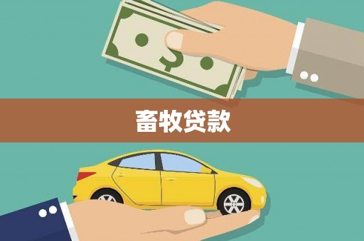 汾阳畜牧贷款