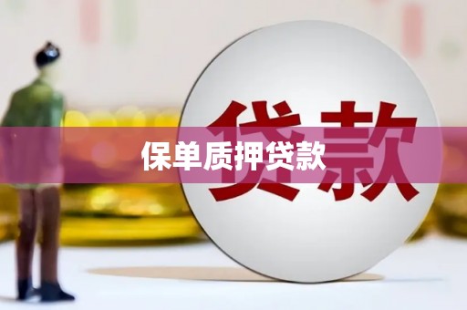 高平保单质押贷款