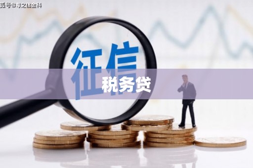 金州税务贷
