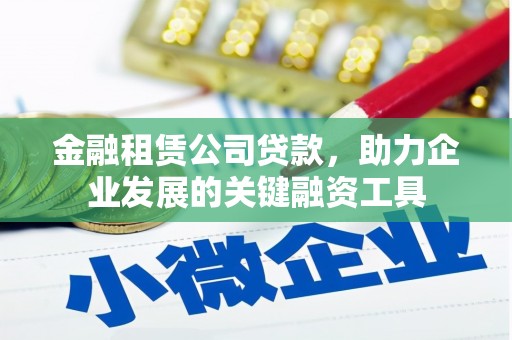 项城金融租赁公司贷款，助力企业发展的关键融资工具