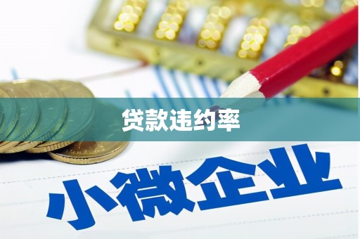 盐源贷款违约率