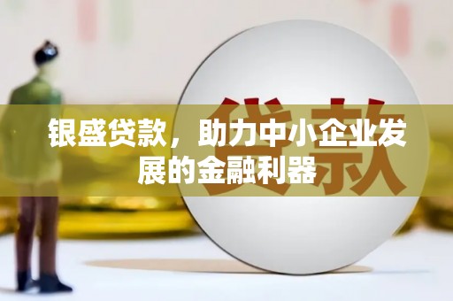 建宁银盛贷款，助力中小企业发展的金融利器