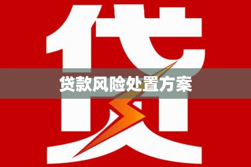 太保贷款风险处置方案