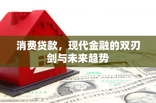 韶关消费贷款，现代金融的双刃剑与未来趋势