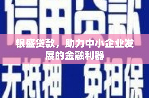 元谋银盛贷款，助力中小企业发展的金融利器