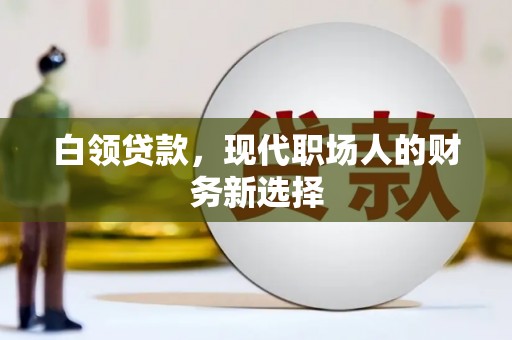 抚远白领贷款，现代职场人的财务新选择