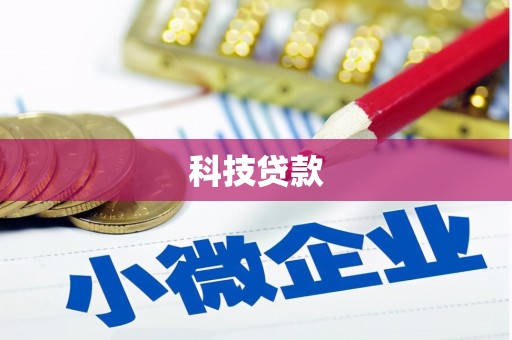 雁江科技贷款