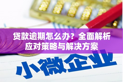 沙依巴克贷款逾期怎么办？全面解析应对策略与解决方案