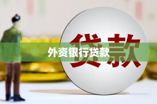 云林外资银行贷款