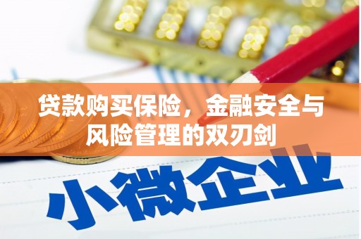 高要贷款购买保险，金融安全与风险管理的双刃剑