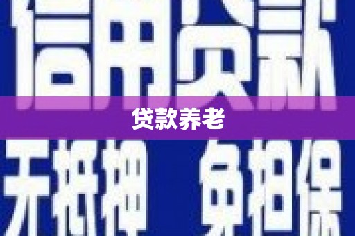 泌阳贷款养老