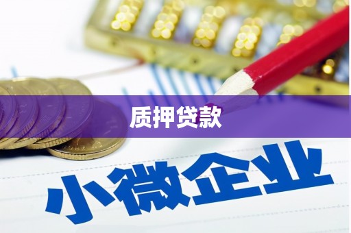 赣州质押贷款