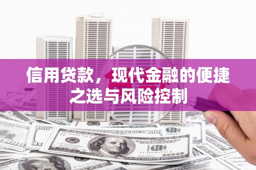 双桥信用贷款，现代金融的便捷之选与风险控制