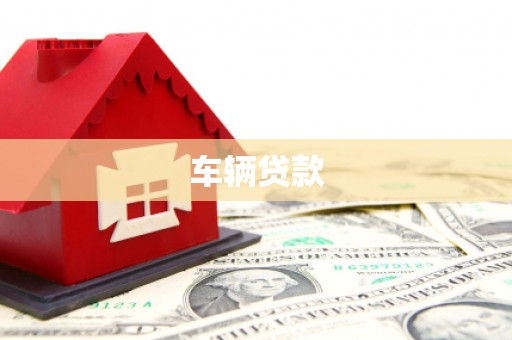 新泰车辆贷款