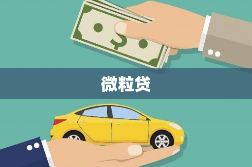 嘉荫微粒贷