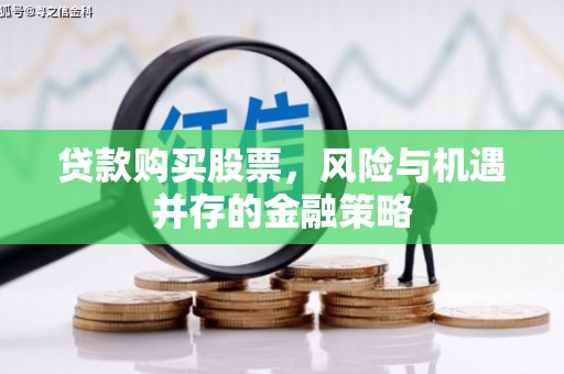 新蔡贷款购买股票，风险与机遇并存的金融策略