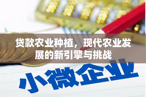 循化贷款农业种植，现代农业发展的新引擎与挑战