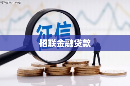阜康招联金融贷款