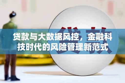 芦洲贷款与大数据风控，金融科技时代的风险管理新范式