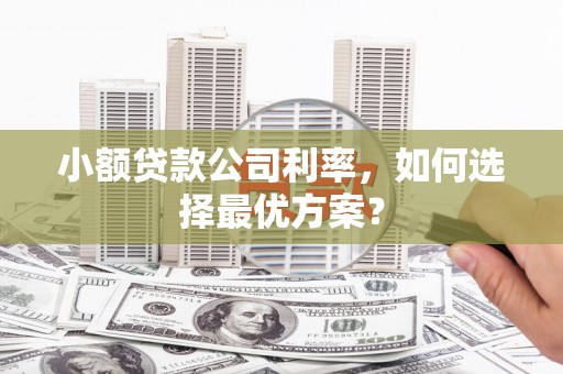 淇滨小额贷款公司利率，如何选择最优方案？