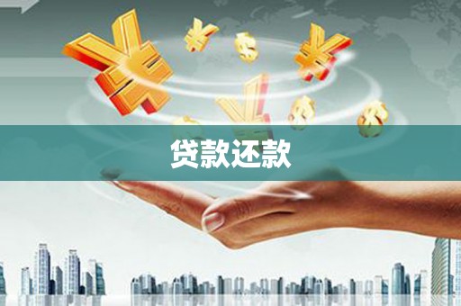 六枝贷款还款