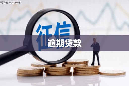 燕巢逾期贷款