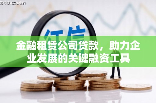 遂昌金融租赁公司贷款，助力企业发展的关键融资工具
