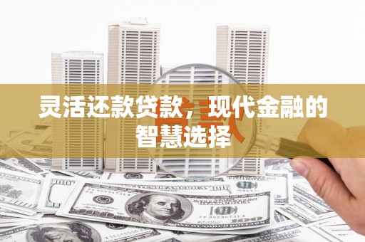 凤山灵活还款贷款，现代金融的智慧选择