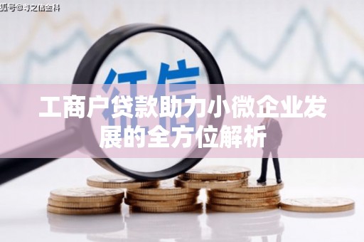 苑里工商户贷款助力小微企业发展的全方位解析