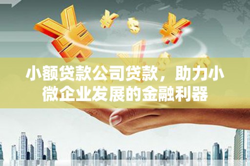 汕尾小额贷款公司贷款，助力小微企业发展的金融利器