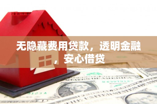 南岸无隐藏费用贷款，透明金融，安心借贷