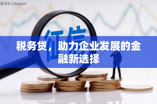 德钦税务贷，助力企业发展的金融新选择