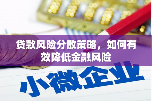 普湾新区贷款风险分散策略，如何有效降低金融风险