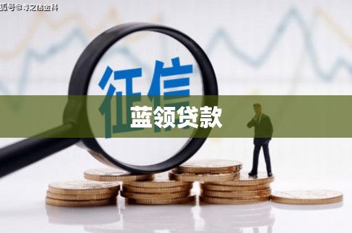 大观蓝领贷款
