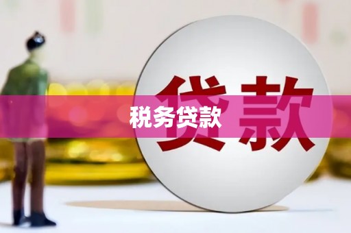 集贤税务贷款