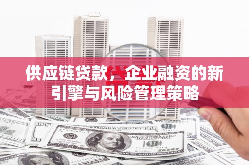 兰屿供应链贷款，企业融资的新引擎与风险管理策略