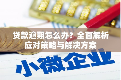 桥东贷款逾期怎么办？全面解析应对策略与解决方案