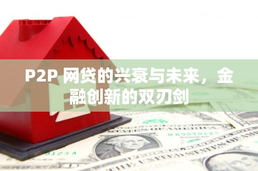 湖内P2P 网贷的兴衰与未来，金融创新的双刃剑