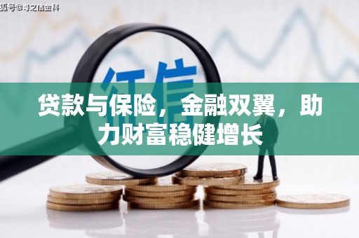 西充贷款与保险，金融双翼，助力财富稳健增长