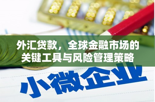 岚皋外汇贷款，全球金融市场的关键工具与风险管理策略