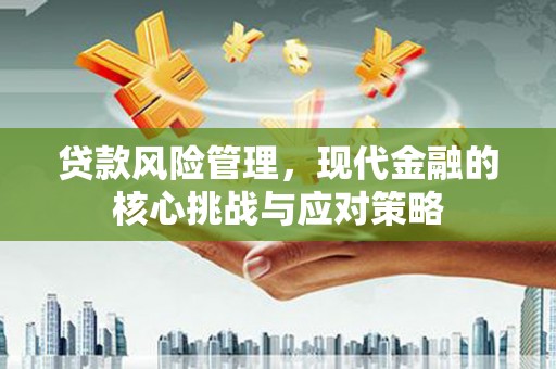 海晏贷款风险管理，现代金融的核心挑战与应对策略