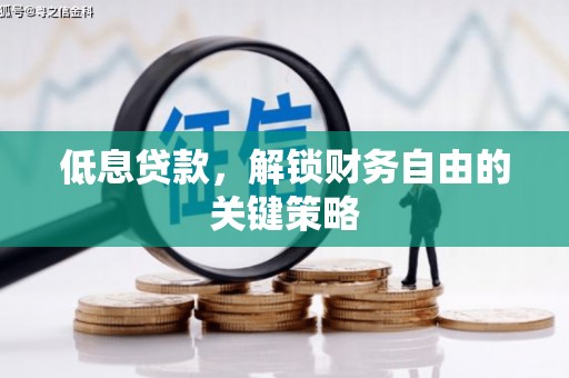 纳溪低息贷款，解锁财务自由的关键策略