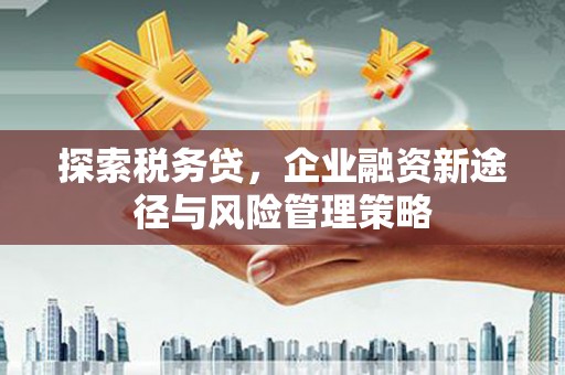 西昌探索税务贷，企业融资新途径与风险管理策略